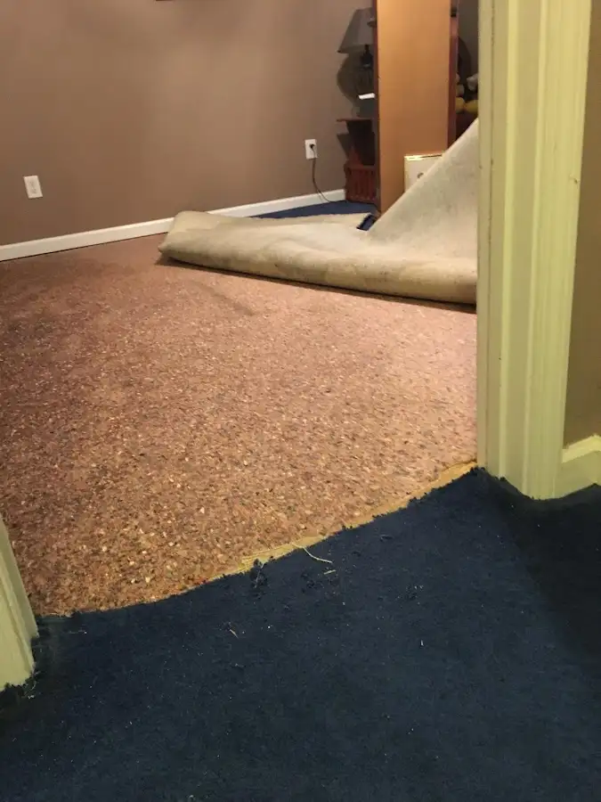 Carpet pad removal revealing water damage during Water Mitigation Services in Colchester