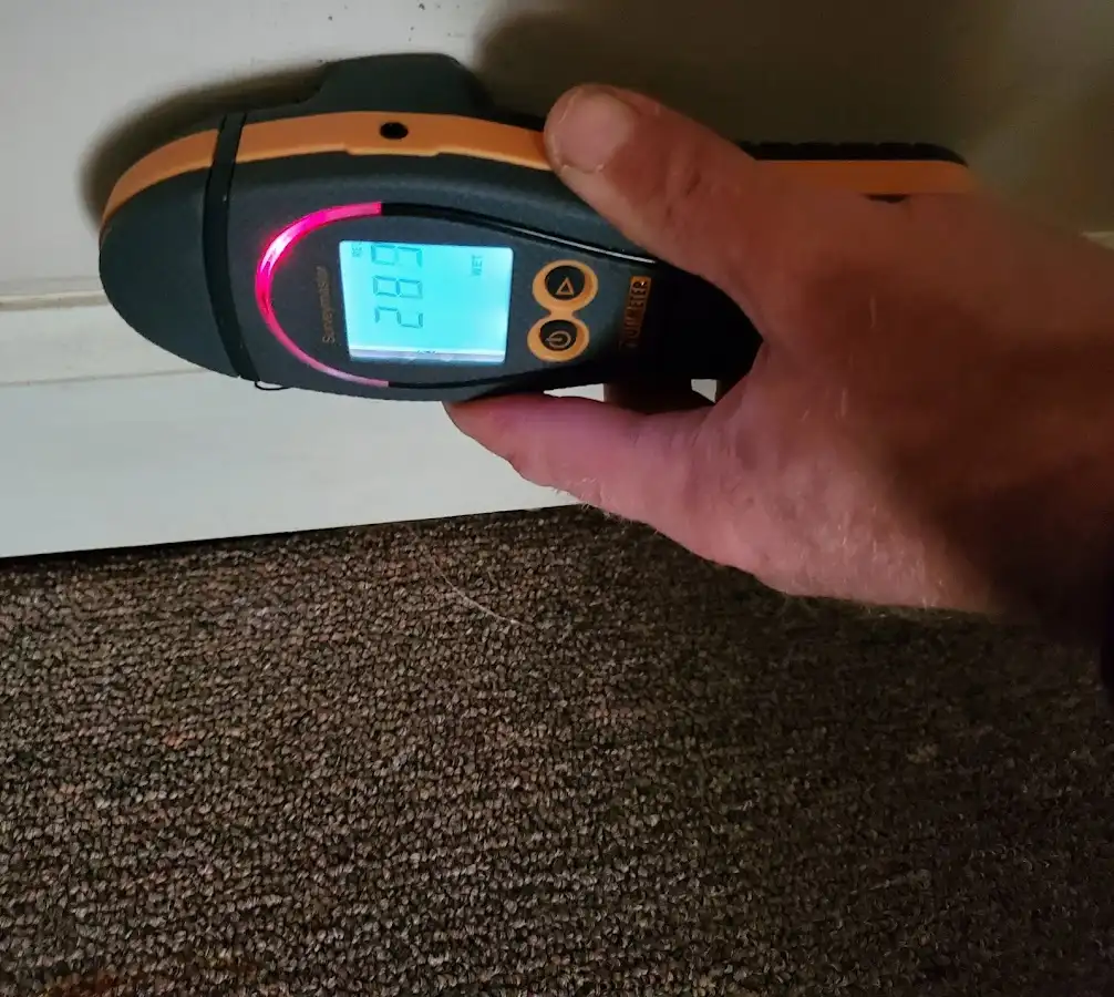 Moisture detection at baseboard during Sewage Cleanup & Sanitation in Colchester
